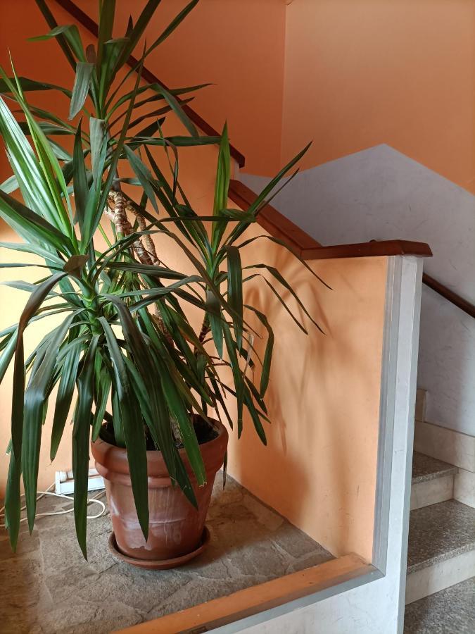 Albergo Roma Gattico Exterior photo